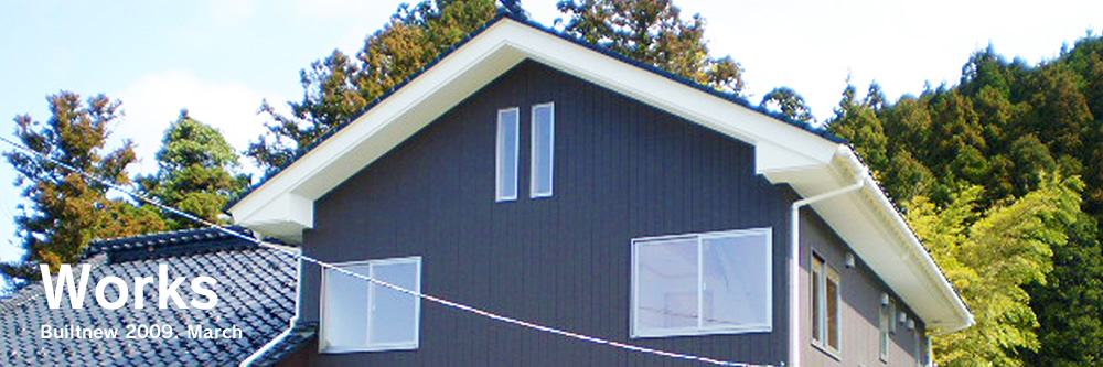 Builtnew 2009. March